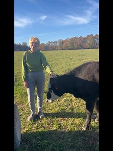 1.6K views · 61 reactions | FUN ON THE FARM ~ | Harmony Lane Farms Goat Milk Soap & Jolly Kakes Bakery | Facebook