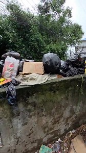 Any one who have seen this accident near CST fatak do come forward to give justice to this four legged friend. | Kalimpong News Express