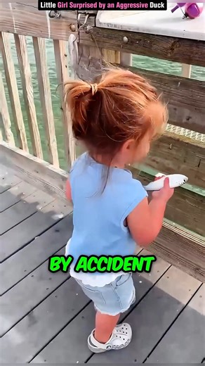 Little Girl Surprised by an Aggressive Duck | Facty301