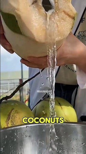 Different Types of Coconuts Around the World and Their Benefits