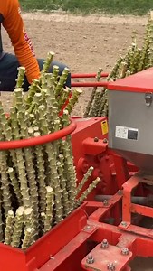 3.6K views · 10K reactions | Cassava planter machine. #fast #smooth #farming #agriculture #farm #nigeria #cassava | Felix Abe | Facebook