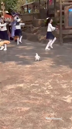 Para embalar a nossa sexta com um modão! Ela tem o molho, hein hahaha #repost @manualdasaves3 😂😂😂😂😂😂😂 Inscreva-se no meu canal no Youtube: https://www.youtube.com/watch?v=I1eB41kkkUc | Carla Zambelli