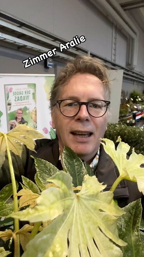 4.9K views | Obwohl fast immer der Hinweis zu finden ist, dass Fatsia...