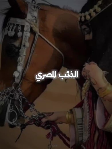 حسابات مقترحة