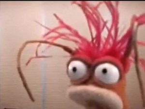 Funny Muppets Moments Featuring Rizzo and Gonzo