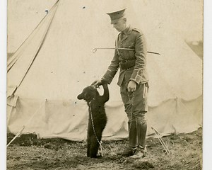 Winnie-the-Pooh (Winnie l'ourson)