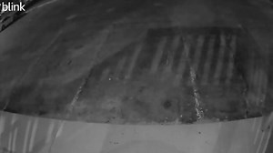 11K views | BigSpring HowardCounty Crimestoppers on Reels | Facebook