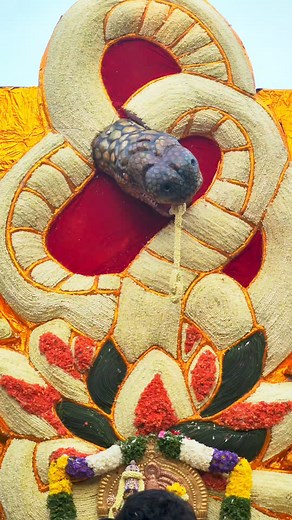 Venkatachalapathy Pallaki #flowers #snake #perumal #bengaluru | South Tube | Facebook