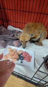 9.3K reactions · 266 shares | Viens dormir au chaud! Mon application...