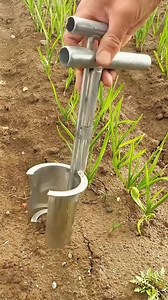 Seedling Tube Transplanter Click link below to order👇 LAZADA https://s.lazada.com.ph/s.9vK1s?cc SHOPEE https://shope.ee/4fZfQt03bL | 𝓐𝓶𝓪𝔃𝓲𝓷𝓰 𝓕𝓲𝓷𝓭𝓼