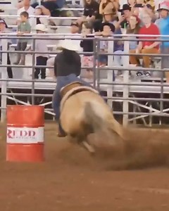 A 16.59 from Thursday held on all weekend to deliver Hailey Kinsel a Mountain Valley Stampede title! | CowboyChannel
