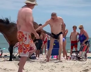 VIDEO: Wild Horse Kicks Speedo Man In The Junk