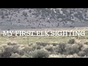 A Short Drive Up the Success Loop