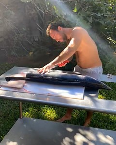 1.1K views | #FilletFridays w/ Garrett Moss slicing up a nice wahoo with the Bubba Blade!  Keeping the fillets clean and dry by wrapping them in paper towels before they’re put in the fridge minimizes bacteria 裂, allowing your fillets to stay fresher (and tastier) for longer! 奈 | Spearchannel | Facebook