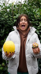 How Many Rubber Bands Does it Take To Explode a Yellow Melon? | Itzshauni