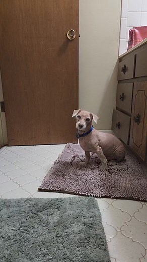 14 reactions | The view from my bubble bath ... Snoop Dogg never...