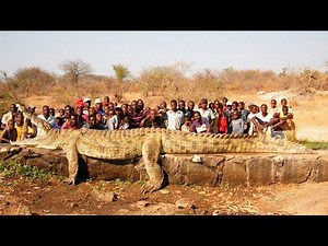 Nejnebezpečnější Zvířata v Dějinách