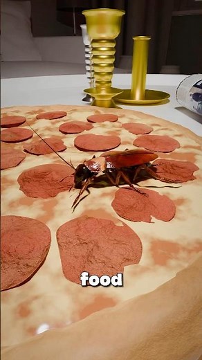 How cockroaches actually eat your food