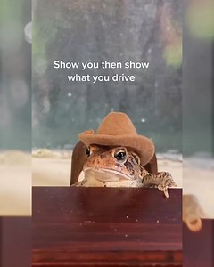 3.7K views · 537 reactions | Did you see the gym frog?  藍 . . . . . #frogcore #frogsofinstagram #miniaturefood #miniature #froggy #froggo #frogs #miniaturepainting #petstagram #FROGSQUAD #frogstagram #petsofinstagram #frog #minifrog #pets #toad #frogfriend #miniatures #froglove #froglover #froggyfriend #froggyfriday #ribbitribbit #ribbit #froggy #froggy #froggystyle #amphibian #amphibiansofinstagram #amphibian | Toby Toad | Facebook