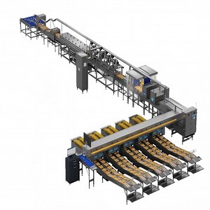 [Hot Item] High-Speed Egg Grading Machine: Washer, Grader and Packer 60, 000 Eggs/Hour