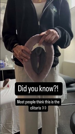 Anatomy 101: The Clitoris!