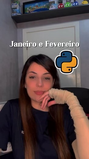 Janeiro x Fevereiro 👩🏽‍💻🔥😂😰 #programador #desenvolvedor #backend #frontend #pythonprogramming | Lorenemaf