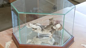 Baby Jesus figurine only to survive church fire that put itself out in Carol Stream