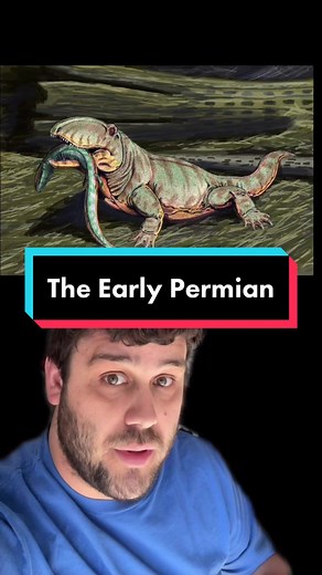 Exploring Early Permian Animals: A Look Into Ancient Evolution