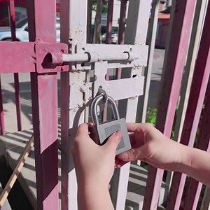 eLinkSmart Fingerprint App Padlock, Opening by Fingerprint or Remote via Phone App, Keyless Big Size Heavy Padlock, Schedule, Unlock Record, Waterproof, Battery Indicator, USB Chargable
