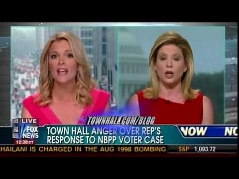 Cat Fight! Fox's Megyn Kelly Destroys Democrat Kirsten Powers On Black Panther Case