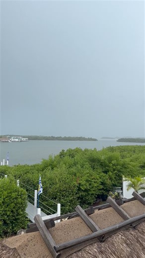 22K views · 67 reactions | The first aborted flight! Silver airlines | DatGuy in Paradise | Facebook