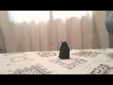 Weighted ball stretchers! 😜🏀🏀👍