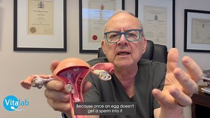 Understanding the Delicate Role of Fallopian Tubes in Fertility Fallopian tubes are not just simple structures—they're complex and vital for the journey of an egg to meet sperm and begin its transformation into an embryo. 𝗜𝗻 𝘁𝗵𝗶𝘀 𝘃𝗶𝗱𝗲𝗼, 𝗗𝗿. 𝗚𝗼𝗯𝗲𝘁𝘇 𝗲𝘅𝗽𝗹𝗮𝗶𝗻𝘀 𝗵𝗼𝘄 𝘁𝗵𝗲 𝗹𝗶𝗻𝗶𝗻𝗴 𝗼𝗳 𝘁𝗵𝗲 𝗳𝗮𝗹𝗹𝗼𝗽𝗶𝗮𝗻 𝘁𝘂𝗯𝗲𝘀, 𝘄𝗶𝘁𝗵 𝗶𝘁𝘀 𝗺𝗶𝗰𝗿𝗼𝘀𝗰𝗼𝗽𝗶𝗰 𝗵𝗮𝗶𝗿-𝗹𝗶𝗸𝗲 𝗰𝗶𝗹𝗶𝗮, 𝗽𝗹𝗮𝘆𝘀 𝗮 𝗰𝗿𝘂𝗰𝗶𝗮𝗹 𝗿𝗼𝗹𝗲 𝗶𝗻 𝗴𝘂𝗶𝗱𝗶𝗻𝗴 𝘁𝗵𝗲 𝗲𝗴𝗴 𝗮𝗻�