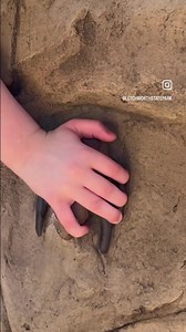 2K views · 89 reactions | Red White and Blue Balloon Festival at...