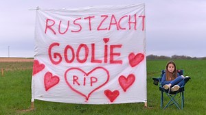 VN Show: How Peter Sagan toppled Quick-Step at Paris-Roubaix | Velo