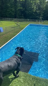 Go duke go!!! | Bark Lodge