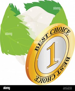 Oral hygiene icon isometric vector. Leaf around human tooth and best choice sign. Dentistry, healthcare concept Stock Vector Image & Art - Alamy