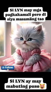 131K views · 1.6K reactions | Si LYN ay may mabuting puso. #talkingcat #cat #kitten #catlover #catreels #animalreels #funnyreels #goodvibes #tagalog #hugot #patama #justforlaughs #justforfun #highlights #baybisdak #mengmeng #bawalpikon | Bay Bisdak | Facebook