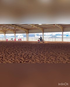 7.9K views · 220 reactions | Hey Bartender is showing off his natural talent! We ❤️ him! | Highpoint Barrel Horses | Facebook