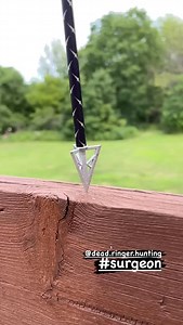 Dead Ringer on Reels