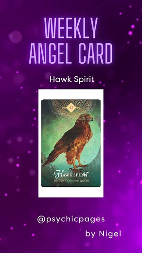 Allow the Hawk to be your guide this week  #cardoftheweek #angelcard #hawkspirit | Psychic Pages | Facebook