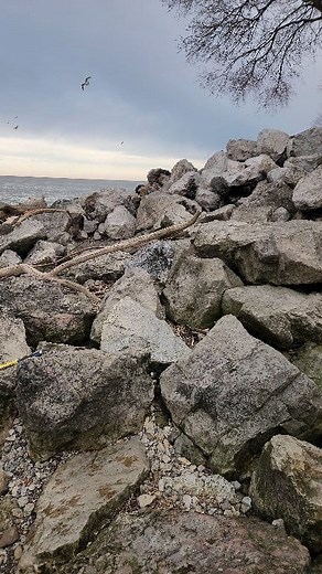 Fishing spots that are hard to get to! #fishing | Everett Mathis Jr.