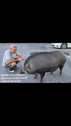 Grand Story on Reels