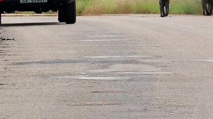A troop of chacma baboons galloping on the road #reels #life #viral #trend #video #wild #reelsfb #travel #nature #africa #wow #story | African Bush Kingdom