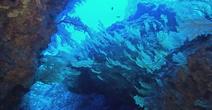 Video by JUN HO LEE on Pexels