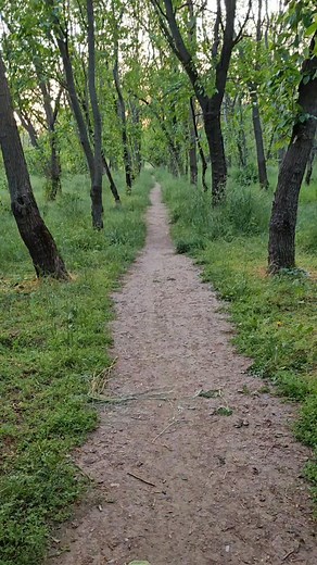 Destinat copiilor care iubesc să exploreze natura, să facă excursii, să participe în tabere, să urce munții sau să cutreiere pădurile, 𝑀𝑖𝑐𝑢𝑙 𝑔ℎ𝑖𝑑 𝑎𝑙 𝑎𝑣𝑒𝑛𝑡𝑢𝑟𝑖𝑒𝑟𝑢𝑙𝑢𝑖 𝑖̂𝑛 𝑝𝑎̆𝑑𝑢𝑟𝑒 le propune copiilor de azi să învețe cum să se descurce în aventurile lor offline. Cartea lui Michel Luchesi vine cu o mulțime de idei de activități, învățându-i pe tinerii exploratori în devenire lucruri utile, precum găsirea drumului cu ajutorul unei busole improvizate sau chiar fără busol