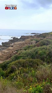 3.1K views · 68 reactions | The Land of Israel is praised for its spiritual qualities. It is “A land flowing with milk and honey,” as the Torah testifies. Other nations both Pagan, Christian, and Islamic have had their eyes and hands on controlling it, but only the People of Israel can call it their Promised Land —the land given to them by God (HaShem) as the Hebrew Bible testifies. #israel #visitisrael #holyland #promisedland #loveisrael #israeltour | Rav Dror | Facebook