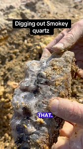 Digging smoky quartz out of decomposed granite. As the granite breaks down, it exposes quartz that formed from silica-rich fluids deep underground. The smoky colour comes from natural radiation over time. Crumbly feldspar and iron staining are good signs you’re close to a crystal pocket. #Quartz #Smokey #pocket #prospecting | Wild Earth Treasures