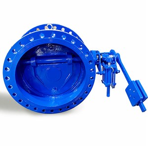 [Hot Item] Tilting Check Valve with Different Material