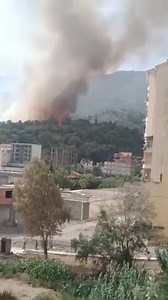 Souk el tenine sous les flammes! | Les Kabyles de Paris